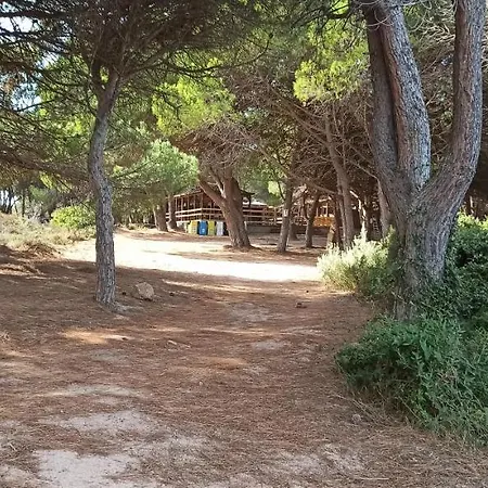 Calarossa Lejlighed